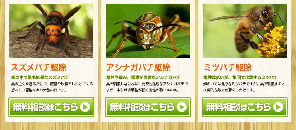 熊本でスズメバチ、アシナガバチミツバチ駆除のご相談はコチラ