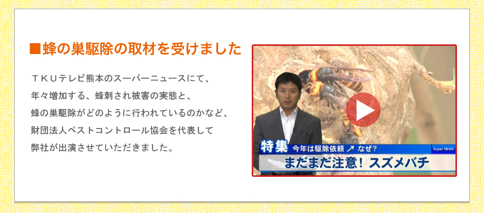 TKUテレビ熊本のスーパーニュースにて蜂被害の取材協力をおこないました。